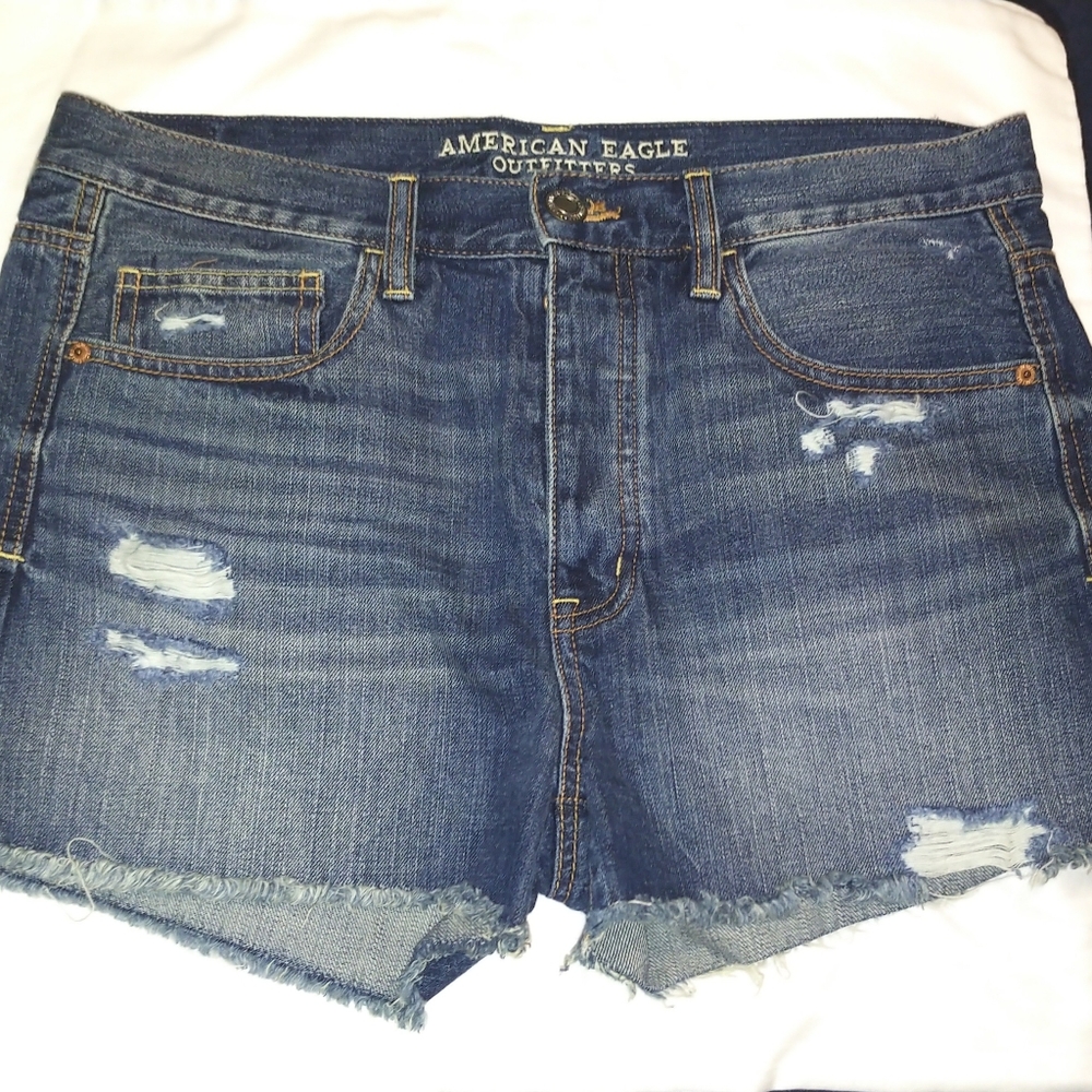 Destroyed Denim Shorts